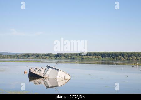 La barca affondata, una nave passeggeri in abondazione, arrugginisce nelle acque del Danubio in Serbia, durante l'estate, in un parco naturale. Il Danubio è uno dei Foto Stock