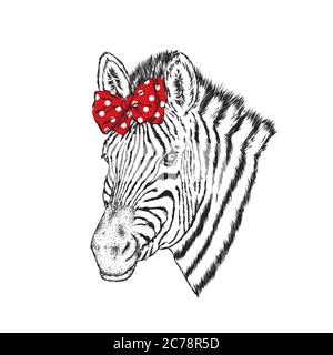 Una zebra con bicchieri e cravatta. Illustrazione vettoriale. Illustrazione Vettoriale