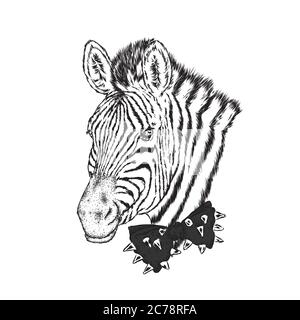 Una zebra con bicchieri e cravatta. Illustrazione vettoriale. Illustrazione Vettoriale