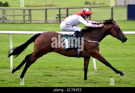 Branzone Belle guidato dal fantino Danny Tudhope vince il Racing TV Fillies 'Novice Stakes presso Catterick Bridge Racecourse. Foto Stock