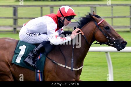 Branzone Belle guidato dal fantino Danny Tudhope vince il Racing TV Fillies 'Novice Stakes presso Catterick Bridge Racecourse. Foto Stock