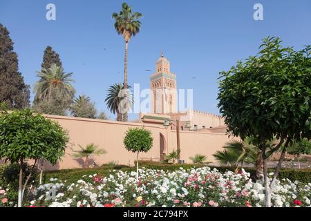 Parte della Moschea di Kutubiyya in arenaria in stile Almohad nel centro di Marrakech / Marrakech, Marocco, vista su un giardino di rose. Questa è la moschea più grande Foto Stock