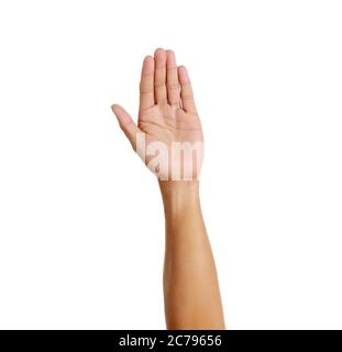 La mano della donna mostra 5 segni di dito su sfondo bianco. Numero cinque. Donna apre il palmo cinque dita su sfondo bianco con spazio per la copia Foto Stock