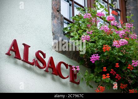 Alsazia segno colorato finestra floreale casella fuori cantina con 'Alsazia' segno generico Alsazia Francia Foto Stock