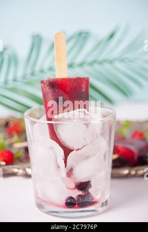 Gelato artigianale, un fungo di frutti di bosco freschi e biologici Foto Stock