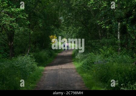 Coppia matura che passeggiando attraverso una strada fiancheggiata da alberi in una calda giornata di sole durante l'estate Foto Stock