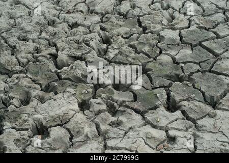 Terreno e terra asciugati e spaccati in varie forme da calore prolungato Foto Stock