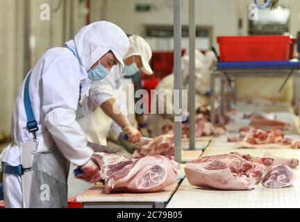 Pechino, Cina. 15 luglio 2020. I membri del personale lavorano sulla linea di segmentazione della carne presso il Beijing Ershang Meat Food Group Co., Ltd. A Pechino, capitale della Cina, il 15 luglio 2020. Beijing Ershang Meat Food Group Co., Ltd. È una delle principali aziende per la fornitura di carne per il mercato di Pechino. Durante la pandemia di COVID-19, l'azienda ha adottato severe misure di prevenzione e controllo COVID-19 lungo l'intera catena di fornitura, per garantire la sicurezza dei prodotti a base di carne e il regolare funzionamento dei suoi stabilimenti di trasformazione per soddisfare la domanda del mercato. Credit: Yuyu/Yuyu/Yuyu Live News Foto Stock