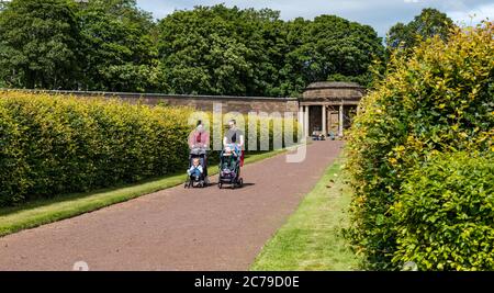 Haddington, East Lothian, Scozia, Regno Unito, 15 luglio 2020. Riapre il Giardino murato di Amisfield: Il giardino del XVIII secolo, uno dei più grandi della Scozia, è gestito e mantenuto interamente da volontari. E' ora aperto 3 giorni alla settimana con un sistema di prenotazione online dopo che le restrizioni di blocco sono state attenuate durante la pandemia di Covid-19 Foto Stock