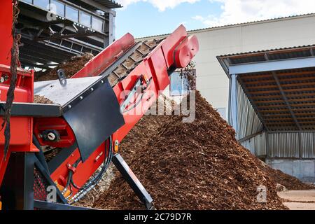 trasportatore di primo piano di una trituratrice industriale per legno che produce trucioli di legno dalla corteccia Foto Stock