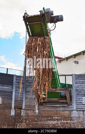 trasportatore di primo piano di trituratori industriali stazionari per la produzione di trucioli di legno dalla corteccia Foto Stock