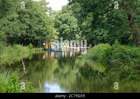 Barche private che si avvicinano Newark Lock sul fiume Wey navigazione vicino Pyrfod Surrey Inghilterra UK Foto Stock