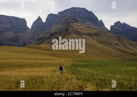 Un escursionista dei Loni nelle montagne Drakensberg, in Sudafrica, con le cime di Monk’s Cowl, Cathkin Peak e Sterkhorn sullo sfondo Foto Stock