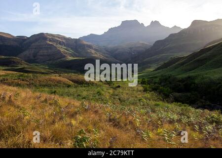 Nel tardo pomeriggio, vista su un prato nel Sud Africa di Drakensberg, con le cime di montagna di Cathkin Peak e Sterkhorn sullo sfondo Foto Stock