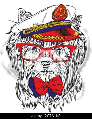 Panther nella corona. Illustrazione vettoriale. Illustrazione Vettoriale