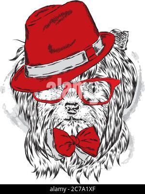 Cucciolo carino con cappello e occhiali da sole. Illustrazione vettoriale. Bel cane. Immagine per una scheda, un poster o una stampa su abiti. Illustrazione Vettoriale