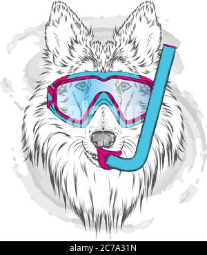 Bel cane. Illustrazione vettoriale per biglietti d'auguri, poster o stampe su abiti. Cane pedigree. Illustrazione Vettoriale