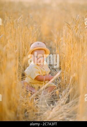 Il bambino nel cappello si siede e gioca tra il campo di grano giallo. Foto Stock