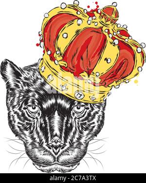 Panther nella corona. Illustrazione vettoriale. Illustrazione Vettoriale