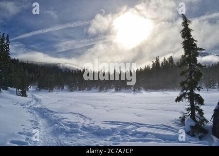 Sci di fondo e racchette da neve invernali sull'altopiano Proibita nel Parco Provinciale di Strathcona sull'Isola di Vancouver, British Columbia, Canada Foto Stock