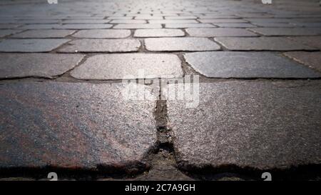 Pavimentazione in ciottoli di una strada a Magdeburgo con retroilluminazione Foto Stock