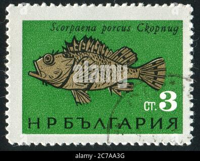 BULGARIA - CIRCA 1965: Timbro stampato dalla Bulgaria, mostra il Mar Nero Pesce, Hogfish, circa 1965 Foto Stock
