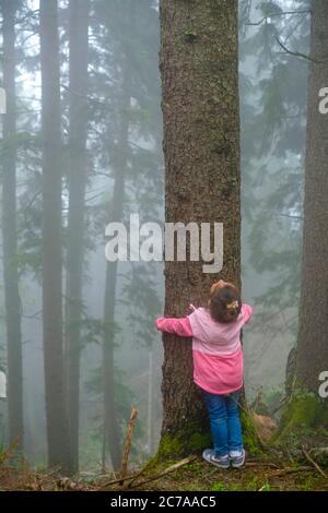 una foresta nebbiosa e l'amore della gente per gli alberi Foto Stock