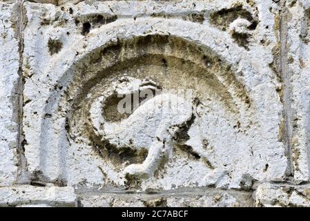 Fabulous Stone Animal sul Fregio della chiesa di San Gallo puramente romanesca, Sontheim, Alb Svevo, Germania, Europa. Questo è stato molto terrificante nel 11 CE Foto Stock