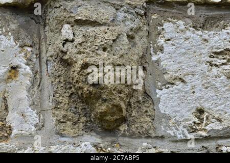 Fabulous Stone Animal sul Fregio della chiesa di San Gallo puramente romanesca, Sontheim, Alb Svevo, Germania, Europa. Questo è stato molto terrificante nel 11 CE Foto Stock