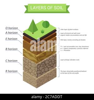 Diagramma isometrico degli strati di terreno. Diagramma degli strati di suolo sotterranei Illustrazione Vettoriale