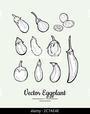 Melanzane, insieme vettoriale di melanzane. Poster vegetariano, banner, logo, icone, adesivi, menu, negozio, ristorante. Linea di prodotti alimentari freschi Illustrazione Vettoriale