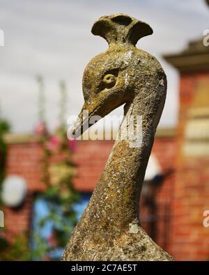 Un pavone di pietra guarda sul paesaggio, Bridge End Garden, Saffron Walden, Essex. In circa 1840 Francis Gibson adattato ed esistente giardino al creat Foto Stock