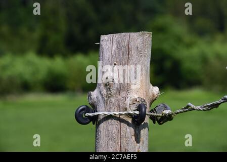 Particolare di recinzione elettrica in legno e con cavi su un pascolo Foto Stock