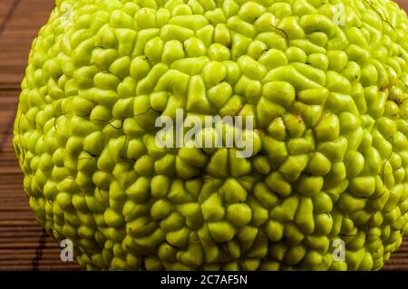 Frutta verde di maclura pomifera, arancio di oseta, mela di cavallo, mela di adamo crescono su stuoia di bambù Foto Stock