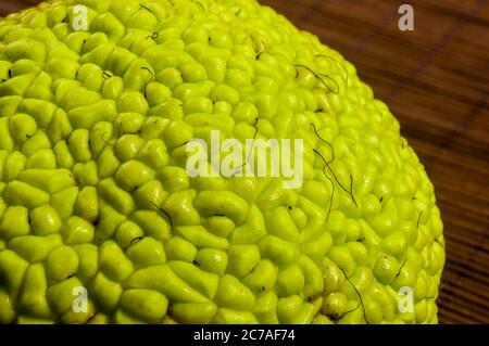 Frutta verde di maclura pomifera, arancio di oseta, mela di cavallo, mela di adamo crescono su stuoia di bambù Foto Stock