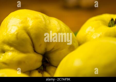 grandi frutti di mele cotogne gialle su un piatto di ceramica, con anice, cannella e noci Foto Stock