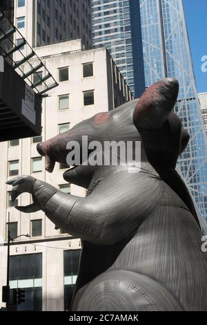 Lo 'cabby' è un Rat gigante gonfiabile alle dimostrazioni dell'Unione, New York City, USA Foto Stock