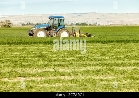 1 luglio 2013 Swan Valley, Idaho, USA UN contadino che utilizza un falciafieno taglia il fieno afalfa nei fertili campi agricoli dell'Idaho. Foto Stock