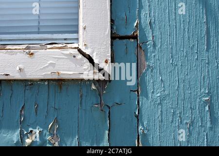 Particolare esterno di una casa - cornice bianca e parete dipinta blu - estremamente tempo indossato e peeling. Ottawa, Ontario, Canada. Foto Stock