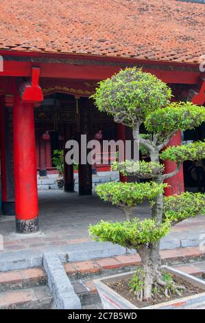 Alberi scolpiti nel tempio della letteratura, dedicato a Confucio, ad Hanoi, nel Vietnam del Nord. Foto Stock