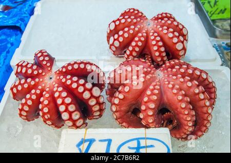 Polpo fresco in vendita sul mercato del pesce di Tsukiji a Tokyo, Giappone. Foto Stock