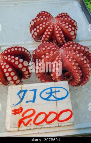 Polpo fresco in vendita sul mercato del pesce di Tsukiji a Tokyo, Giappone. Foto Stock