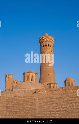 Il Minareto Kalyan (Minareto Kalon), costruito nel 1127, è un minareto del complesso della moschea po-i-Kalyan a Bukhara, Uzbekistan, e uno dei più importanti Foto Stock