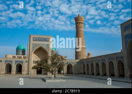 Vista dalla Moschea Kalan del Minareto Kalyan (Minareto Kalon) e la Madrasah araba Mir-i nella storica città di Bukhara, Uzbekistan. Foto Stock