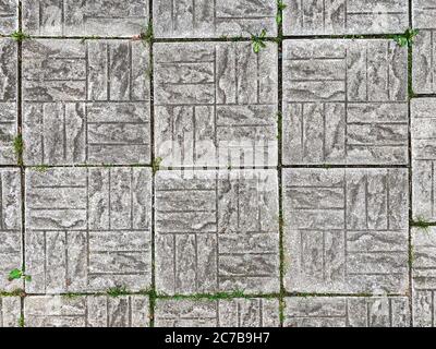 pavimenti in piastrelle grigie marciapiede con erba verde e muschio che cresce tra le pietre. fondo urbano del pavimento in cemento Foto Stock