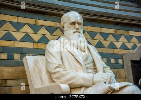 Londra, Regno Unito. Circa settembre 2017. Statua di Charles Darwin situata nel Museo di Storia Naturale di Londra Foto Stock