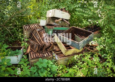 Un'immagine ravvicinata, che mostra i dettagli di un alveare di apicoltura scartato, fatto di legno, che si trova in una zona boscosa circondata da verdi vegi Foto Stock