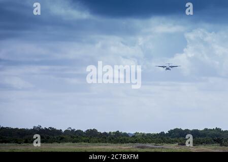 Bellissimo scatto di un aereo sopra il campo erboso e. alberi con un cielo nuvoloso sullo sfondo Foto Stock