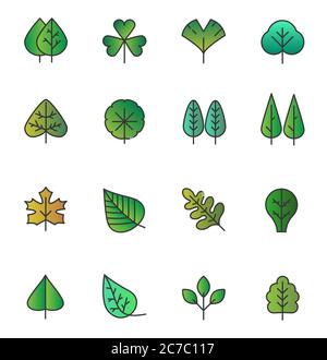 Vettore albero semplice lascia le icone isolate. Fogliame giallo verde, collezione di erbe stilizzate in stile trendy e disegnato a mano linea sfumata piatta Illustrazione Vettoriale