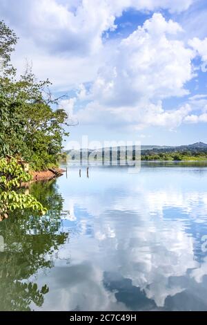 Vista al tramonto sul fiume Victoria Nile, con alberi in crescita e i riflessi sull'acqua, Jinja, Uganda, Africa Foto Stock